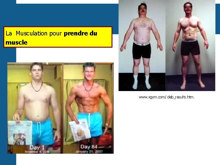 La Musculation pour prendre du muscle www. xgym. com/ deb_results. htm. 