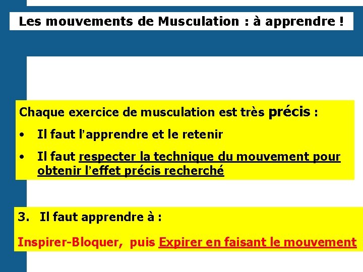 Les mouvements de Musculation : à apprendre ! Chaque exercice de musculation est très