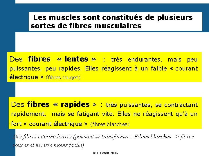  Les muscles sont constitués de plusieurs sortes de fibres musculaires Des fibres «