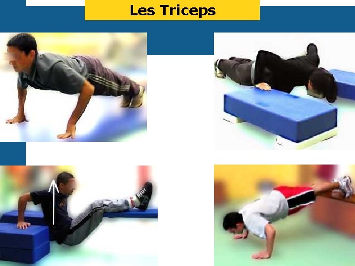 Les Triceps 