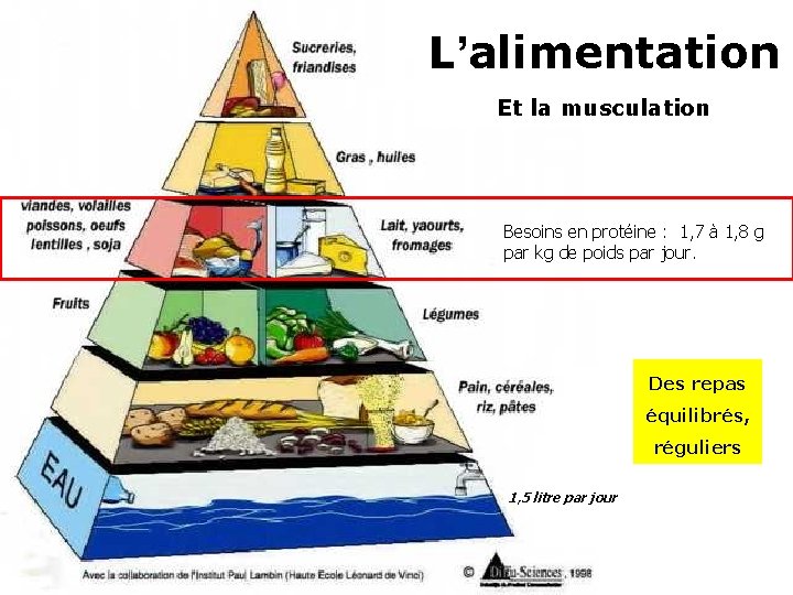 L’alimentation Et la musculation Besoins en protéine : 1, 7 à 1, 8 g