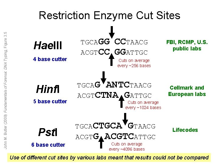 John M. Butler (2009) Fundamentals of Forensic DNA Typing, Figure 3. 5 Restriction Enzyme John M. Butler (2009) Fundamentals of Forensic DNA Typing, Figure 3. 5 Restriction Enzyme