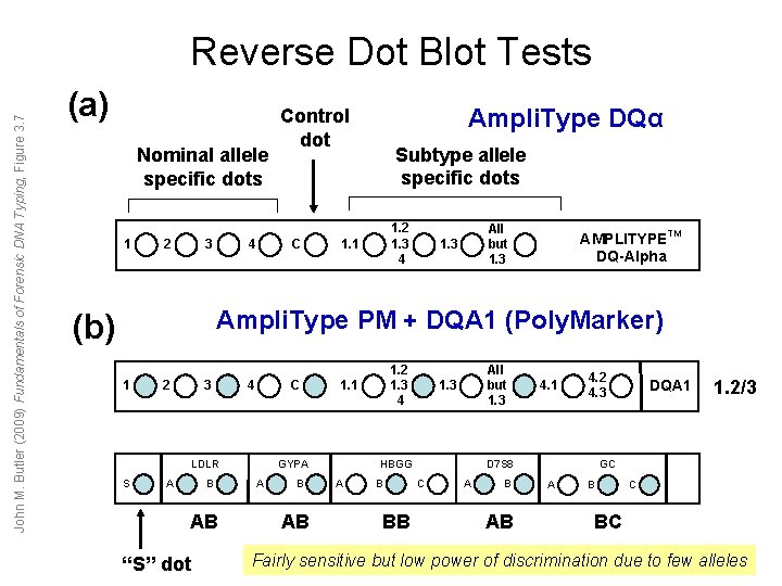 John M. Butler (2009) Fundamentals of Forensic DNA Typing, Figure 3. 7 Reverse Dot John M. Butler (2009) Fundamentals of Forensic DNA Typing, Figure 3. 7 Reverse Dot