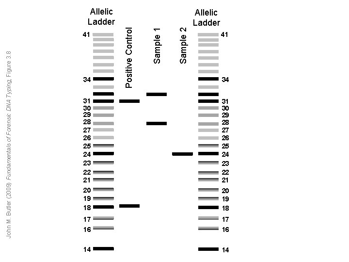 34 Sample 2 Sample 1 John M. Butler (2009) Fundamentals of Forensic DNA Typing, 34 Sample 2 Sample 1 John M. Butler (2009) Fundamentals of Forensic DNA Typing,