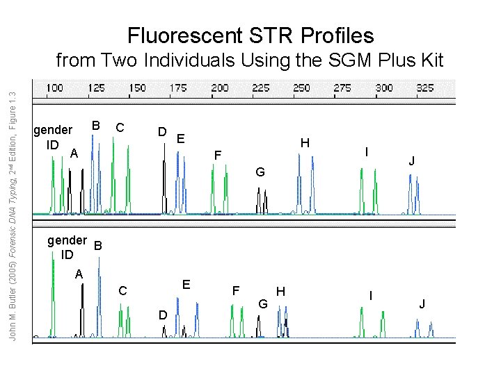 Fluorescent STR Profiles John M. Butler (2005) Forensic DNA Typing, 2 nd Edition, Figure Fluorescent STR Profiles John M. Butler (2005) Forensic DNA Typing, 2 nd Edition, Figure