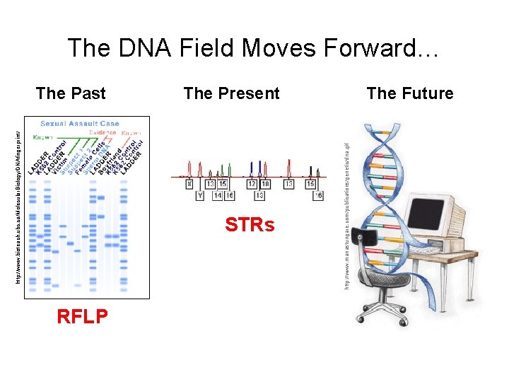 http: //www. bioteach. ubc. ca/Molecular. Biology/DNAfingerprint / The Past STRs RFLP http: //www. manastungare. http: //www. bioteach. ubc. ca/Molecular. Biology/DNAfingerprint / The Past STRs RFLP http: //www. manastungare.