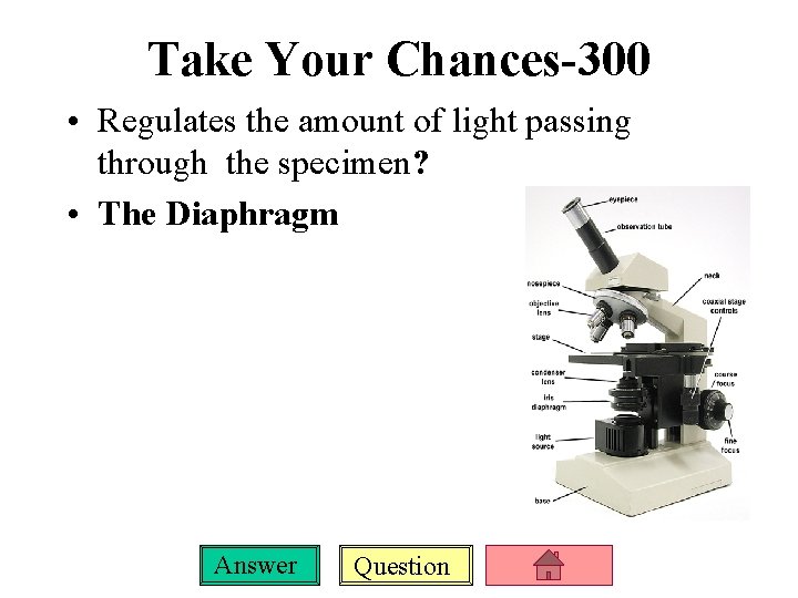 Take Your Chances-300 • Regulates the amount of light passing through the specimen? •