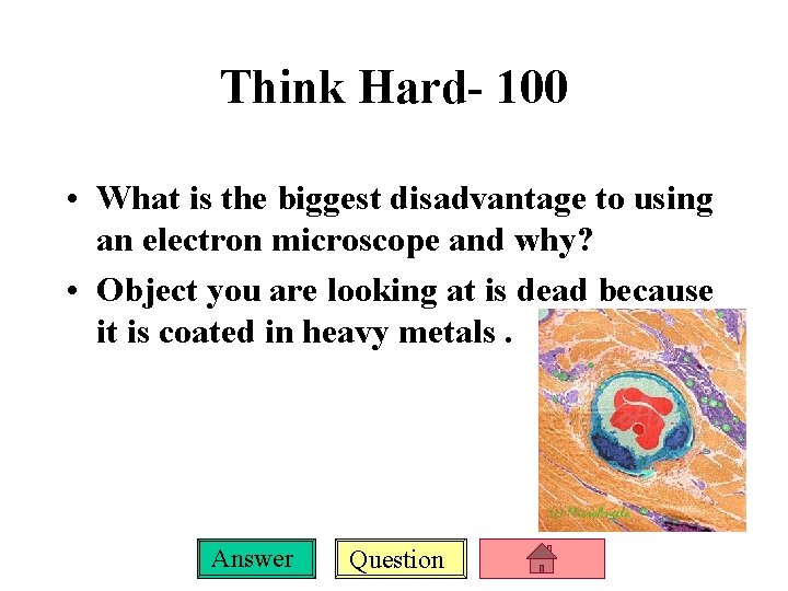 Think Hard- 100 • What is the biggest disadvantage to using an electron microscope