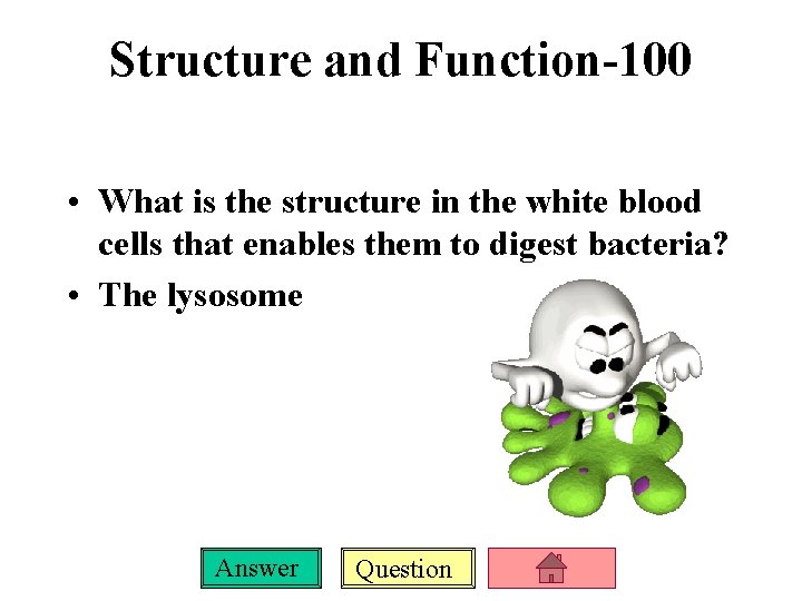 Structure and Function-100 • What is the structure in the white blood cells that