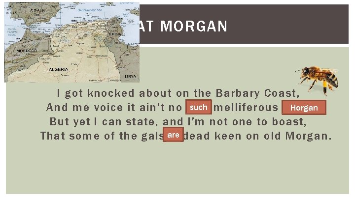 CAT MORGAN I got knocked about on the Barbary Coast, such melliferous horgan; Horgan