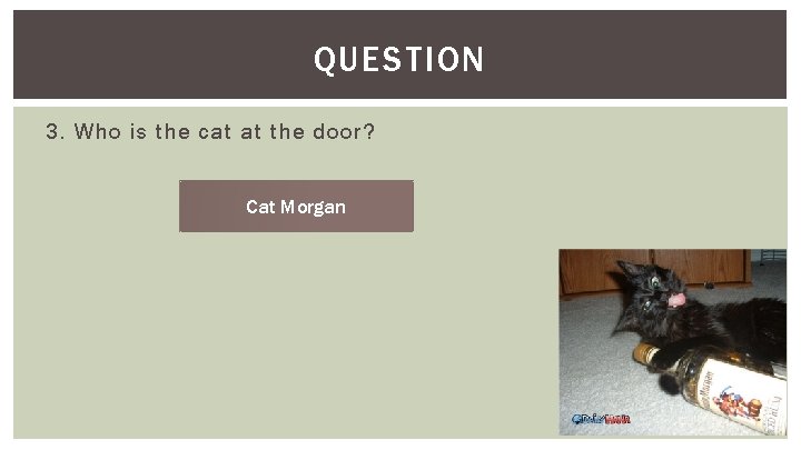 QUESTION 3. Who is the cat at the door? Cat Morgan 