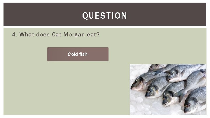 QUESTION 4. What does Cat Morgan eat? Cold fish 