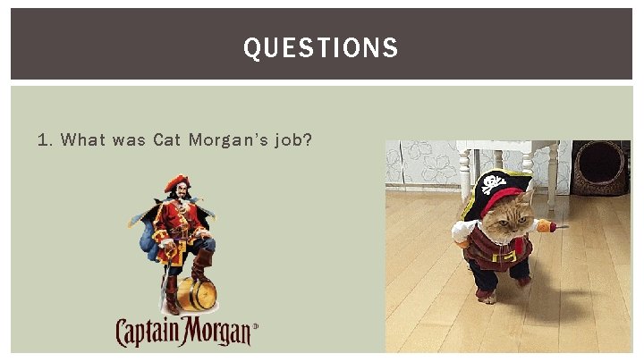 QUESTIONS 1. What was Cat Morgan’s job? 
