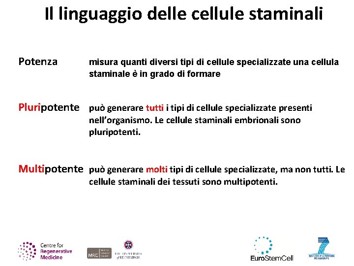 Il linguaggio delle cellule staminali Potenza misura quanti diversi tipi di cellule specializzate una