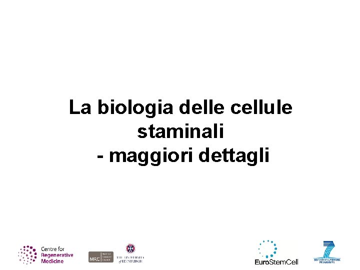 La biologia delle cellule staminali - maggiori dettagli 