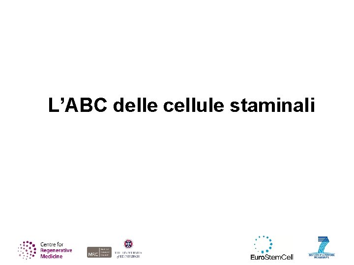 L’ABC delle cellule staminali 