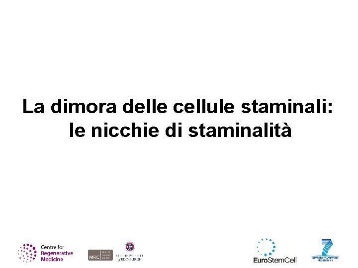 La dimora delle cellule staminali: le nicchie di staminalità 