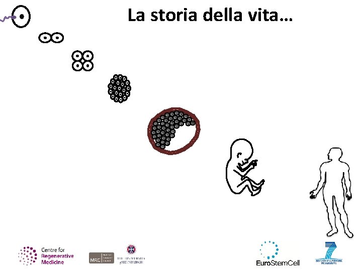 La storia della vita… 