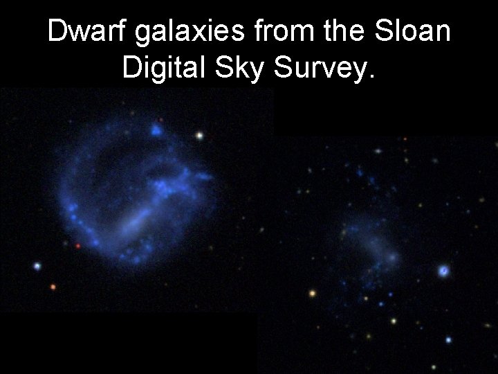 Dwarf galaxies from the Sloan Digital Sky Survey. 