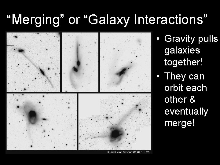 “Merging” or “Galaxy Interactions” • Gravity pulls galaxies together! • They can orbit each