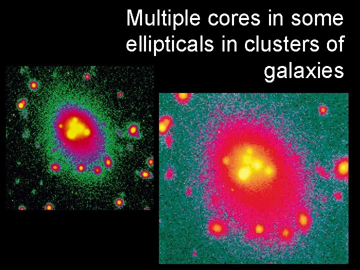 Multiple cores in some ellipticals in clusters of galaxies 