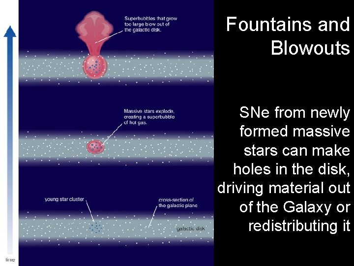 Fountains and Blowouts SNe from newly formed massive stars can make holes in the