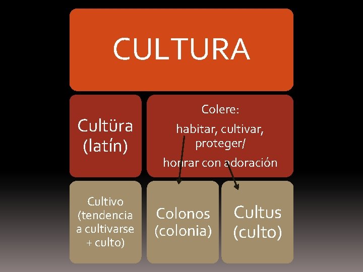CULTURA Cultüra (latín) Cultivo (tendencia a cultivarse + culto) Colere: habitar, cultivar, proteger/ honrar