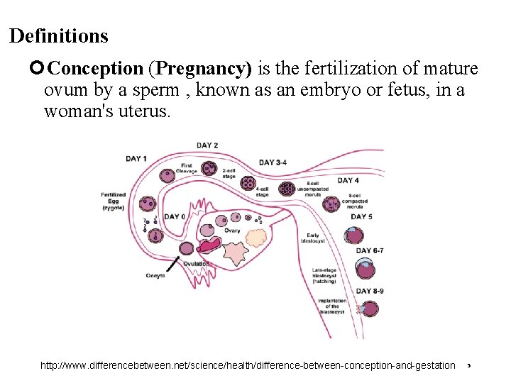 Definitions Conception (Pregnancy) is the fertilization of mature ovum by a sperm , known