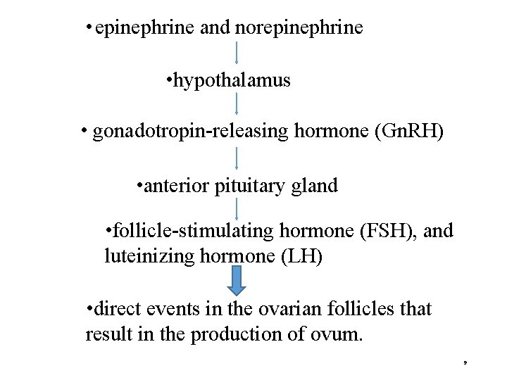  • epinephrine and norepinephrine • hypothalamus • gonadotropin-releasing hormone (Gn. RH) • anterior