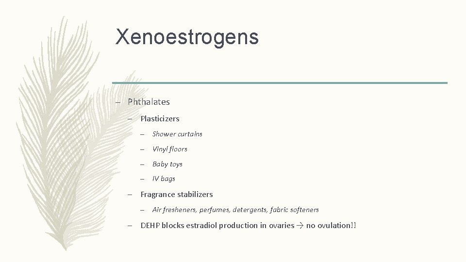 Xenoestrogens – Phthalates – Plasticizers – Shower curtains – Vinyl floors – Baby toys Xenoestrogens – Phthalates – Plasticizers – Shower curtains – Vinyl floors – Baby toys