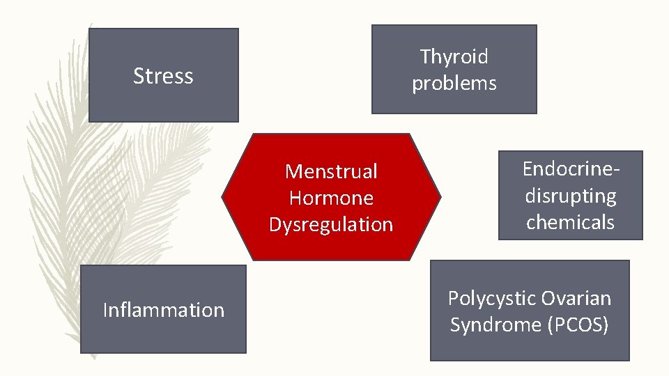 Thyroid problems Stress Menstrual Hormone Dysregulation Inflammation Endocrinedisrupting chemicals Polycystic Ovarian Syndrome (PCOS) 