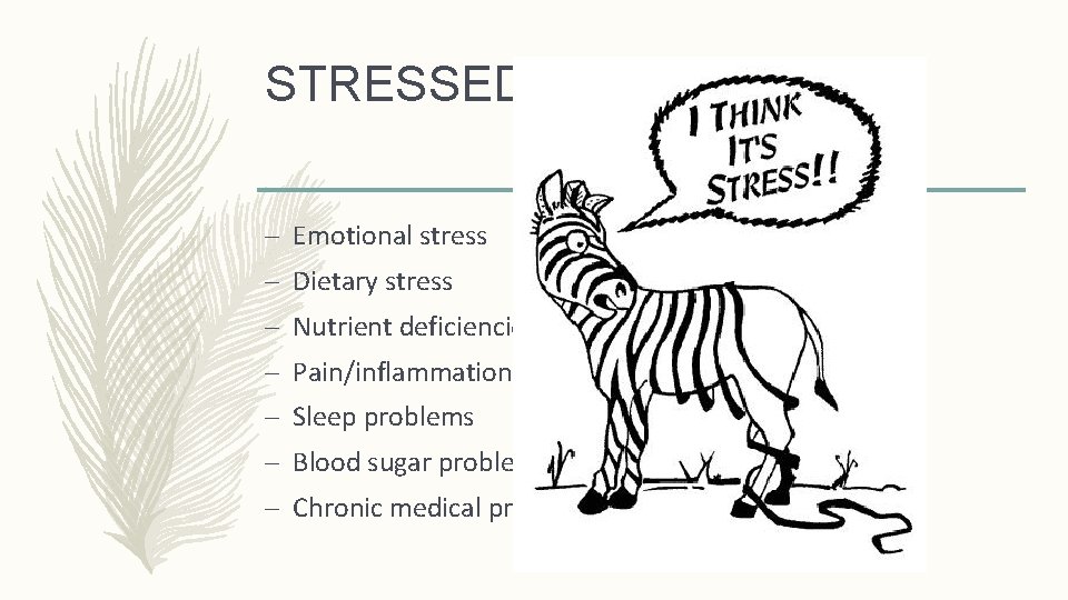 STRESSED OUT? – Emotional stress – Dietary stress – Nutrient deficiencies – Pain/inflammation –