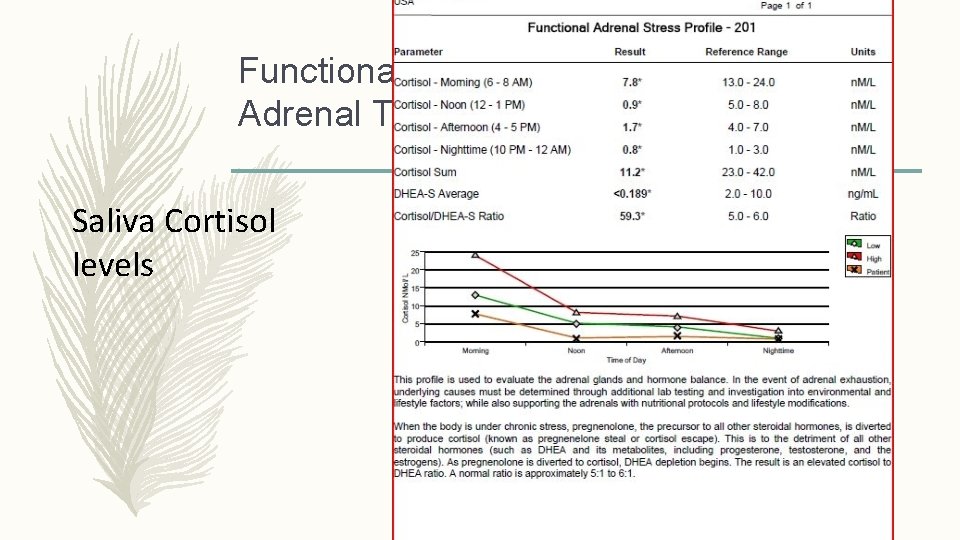 Functional Adrenal Testing Saliva Cortisol levels 