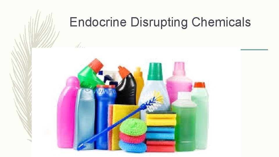 Endocrine Disrupting Chemicals 