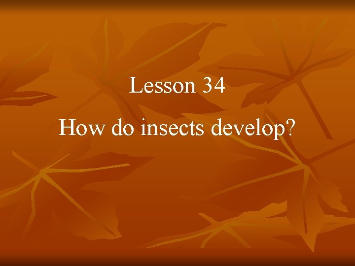 Lesson 34 How do insects develop? 