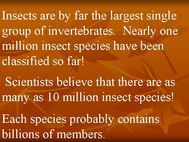 Insects are by far the largest single group of invertebrates. Nearly one million insect