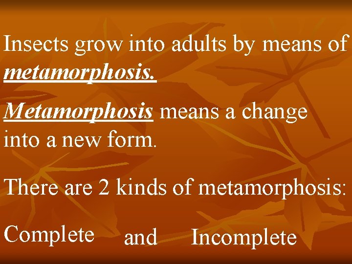 Insects grow into adults by means of metamorphosis. Metamorphosis means a change into a