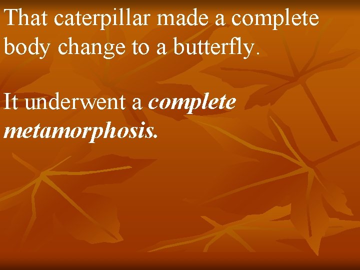 That caterpillar made a complete body change to a butterfly. It underwent a complete