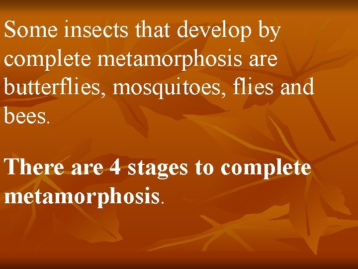 Some insects that develop by complete metamorphosis are butterflies, mosquitoes, flies and bees. There