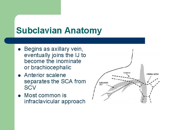 Subclavian Anatomy l l l Begins as axillary vein, eventually joins the IJ to