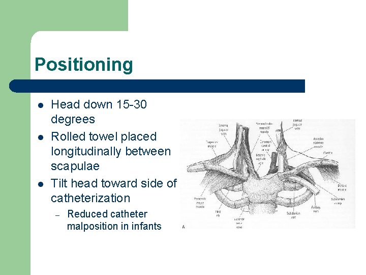 Positioning l l l Head down 15 -30 degrees Rolled towel placed longitudinally between