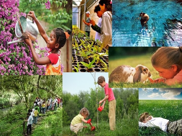 Naturalista Refere-se à capacidade em observar padrões da natureza, identificando, classificando objetos e compreendendo,