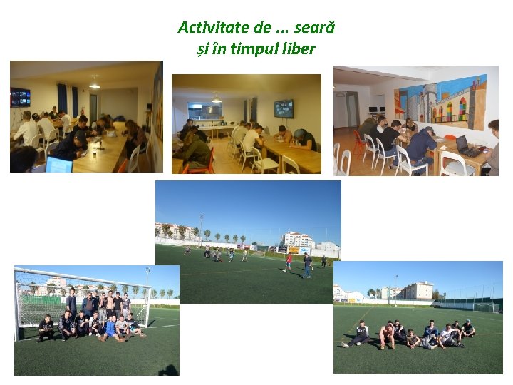 Activitate de. . . seară și în timpul liber 