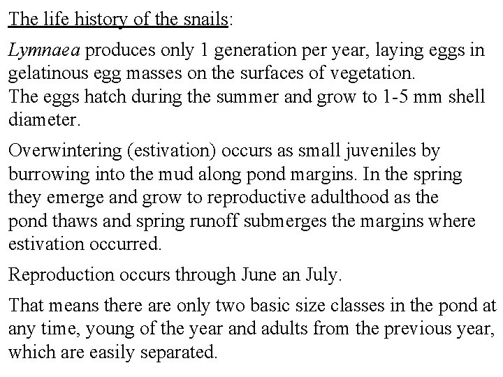 The life history of the snails: Lymnaea produces only 1 generation per year, laying