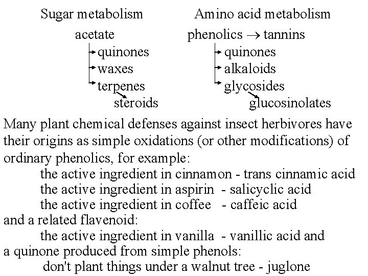 Sugar metabolism Amino acid metabolism acetate phenolics tannins quinones waxes alkaloids terpenes glycosides steroids