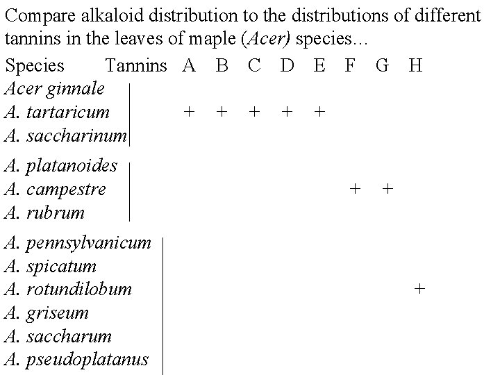 Compare alkaloid distribution to the distributions of different tannins in the leaves of maple