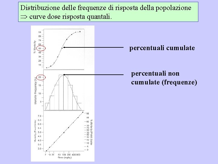 Distribuzione delle frequenze di risposta della popolazione curve dose risposta quantali. percentuali cumulate percentuali