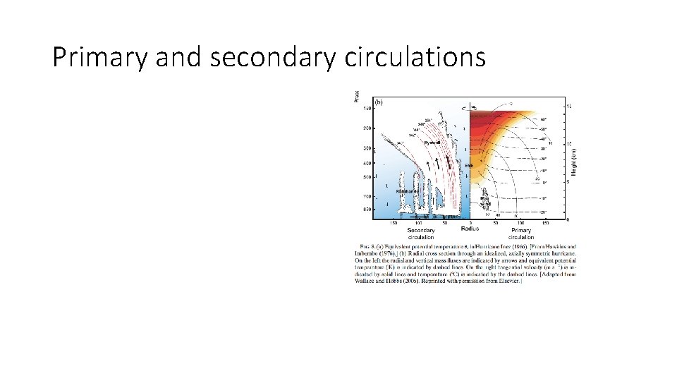 Primary and secondary circulations 