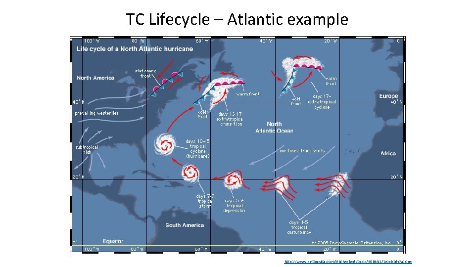 TC Lifecycle – Atlantic example http: //www. britannica. com/EBchecked/topic/606551/tropical-cyclone 