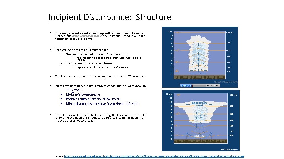 Incipient Disturbance: Structure • Localized, convective cells form frequently in the tropics. As we’ve